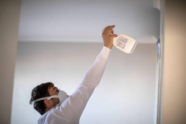 Best Emergency Mold Removal  in Dublin, GA