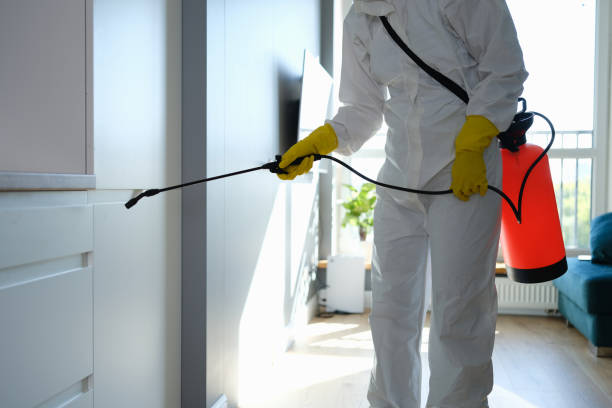 Best Office Mold Removal Services  in Dublin, GA
