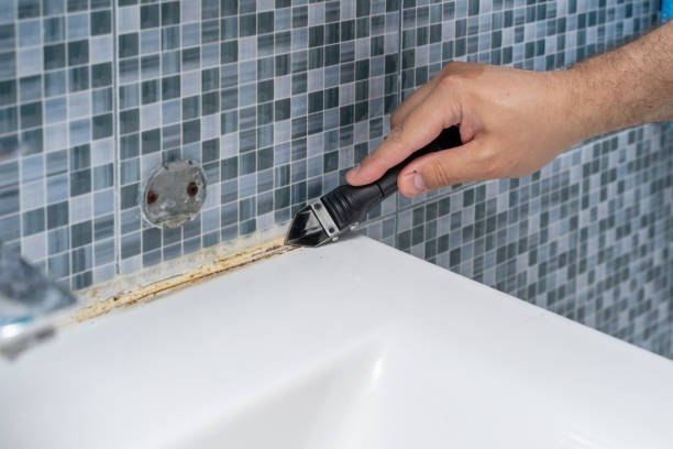 Best Commercial Mold Removal  in Dublin, GA